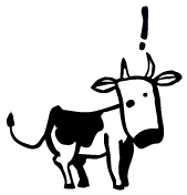 moo moo
